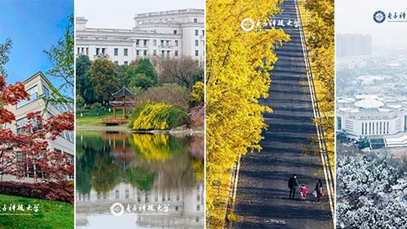 揭秘电子配件定制流程：从需求到成品的蜕变之旅